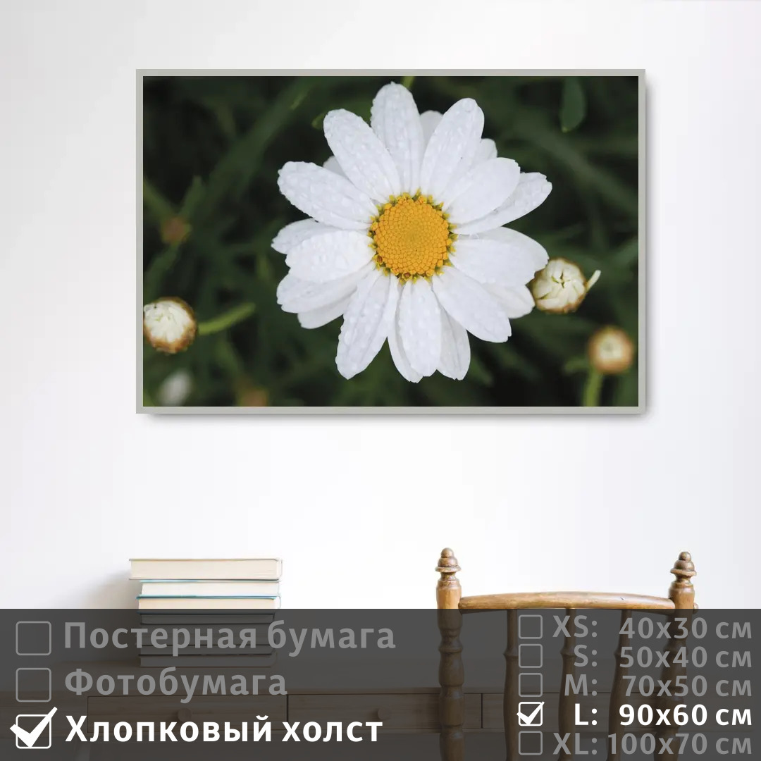 

Постер на холсте ПолиЦентр Ромашка с каплями росы 90х60 см, РомашкаСКаплямиРосы