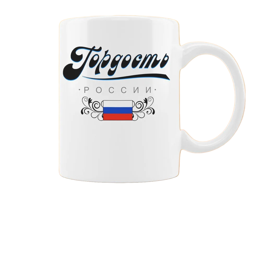 

Кружка CoolPodarok Прикол Семья Гордость России