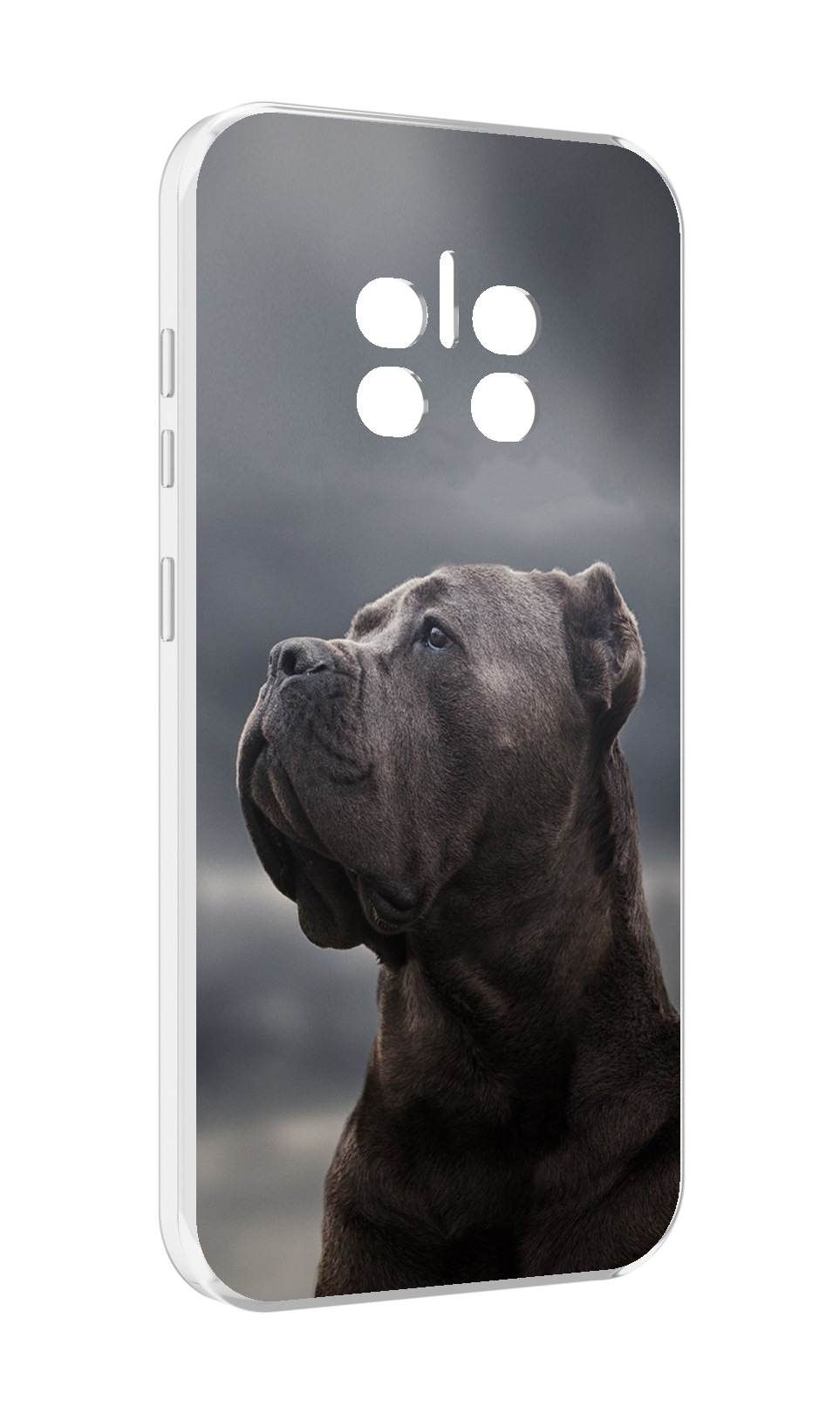 

Чехол MyPads кане корсо для Doogee V11, Прозрачный, Tocco