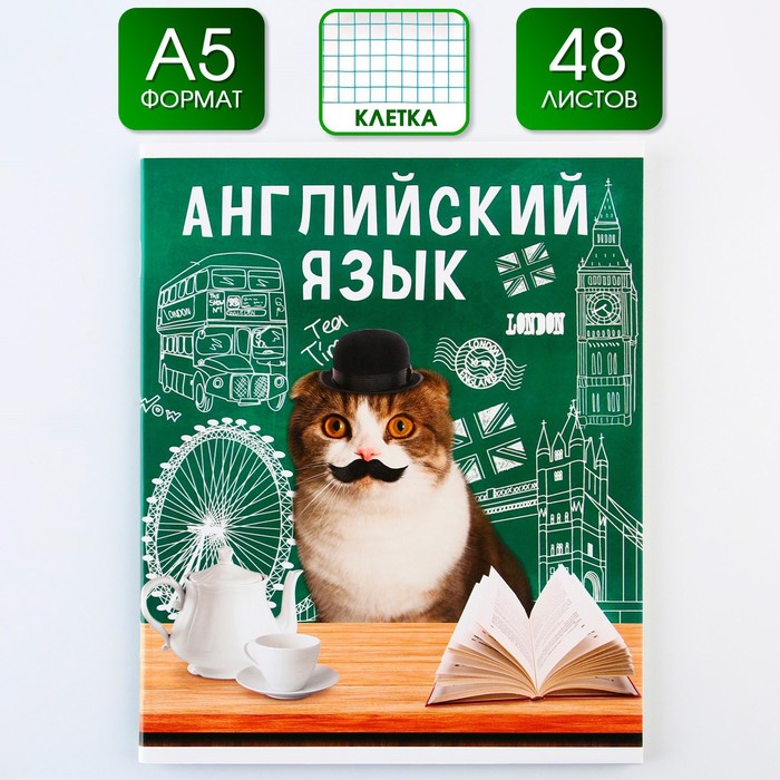 

Предметная тетрадь, 48 листов, МИЛЫЕ ПИТОМЦЫ, со справочными материалами Английский язык,