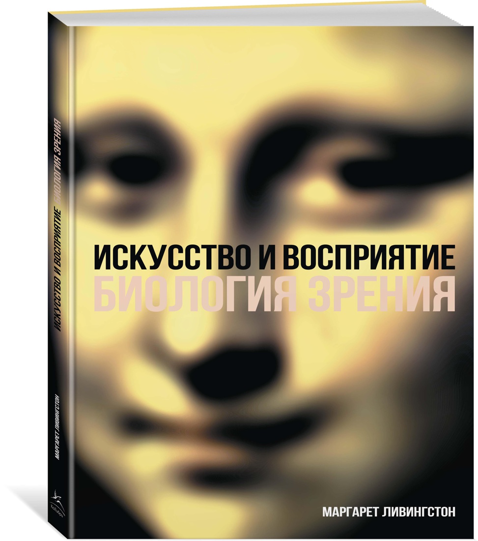 

Искусство и восприятие. Биология зрения