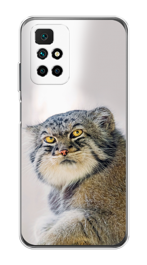 

Чехол на Xiaomi Redmi 10 "Кот манул 1", Серый;белый;желтый, 311350-1