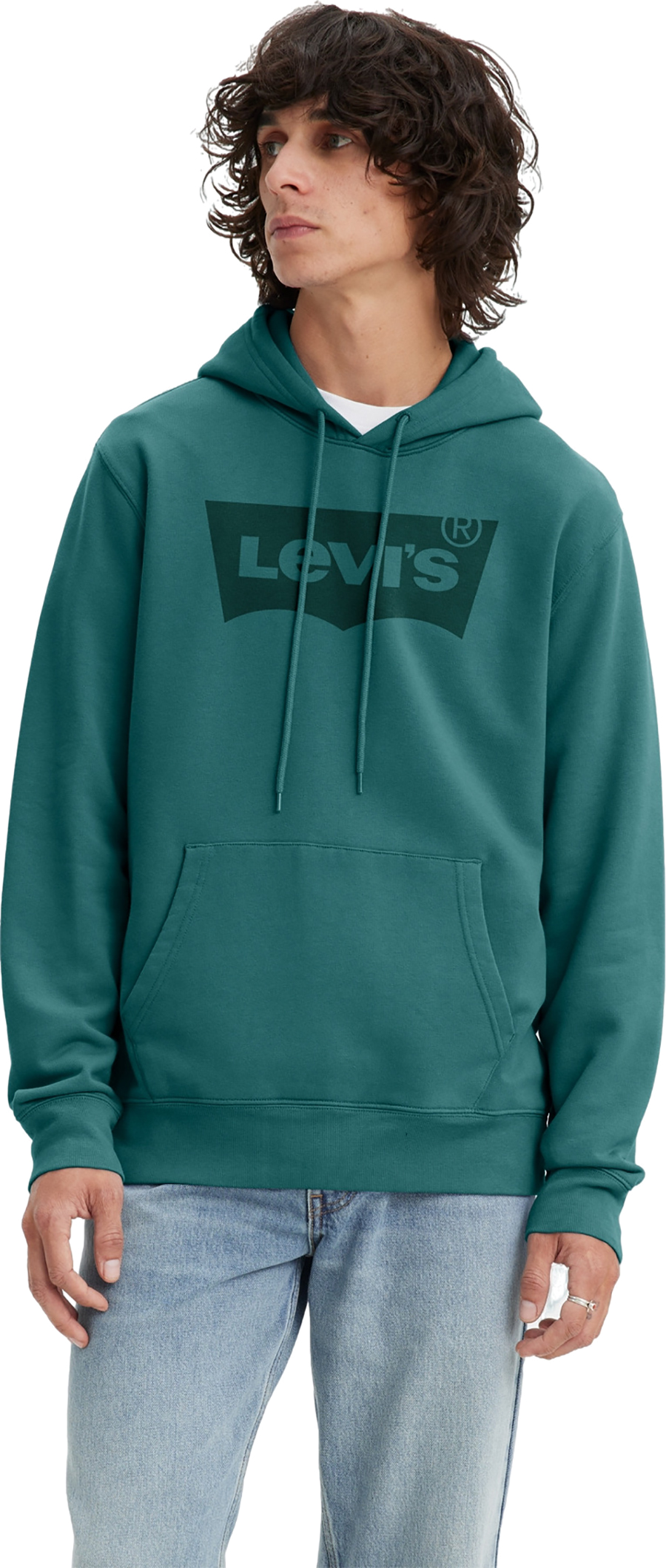 

Худи мужское Levi's Men Standard Graphic Hoodie зеленое L, Зеленый, Men Standard Graphic Hoodie