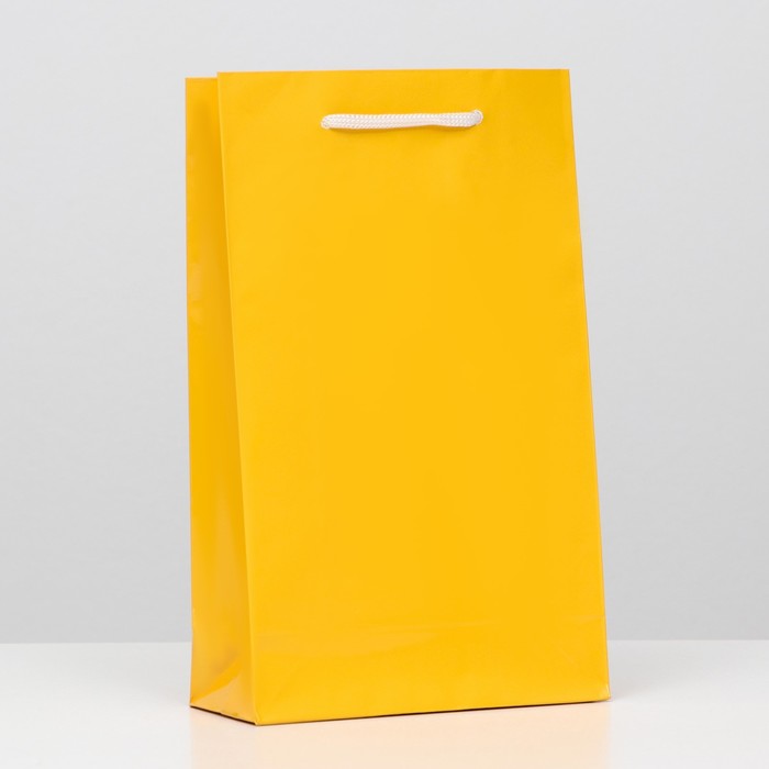 

Пакет ламинированный золотой, 26,5х5 смх7 см 12 шт