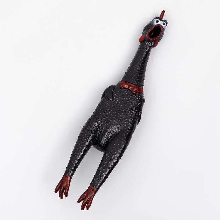 Развивающая игрушка для собак Пижон, черный, 39 см