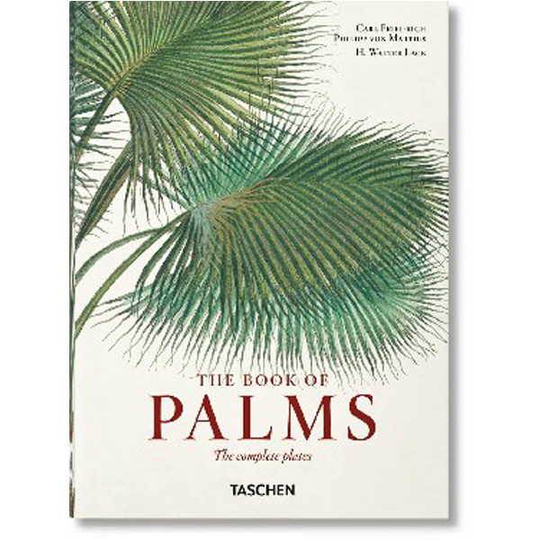 

Von martius. the book of palms. 40th ed. / Lack, H. Walter