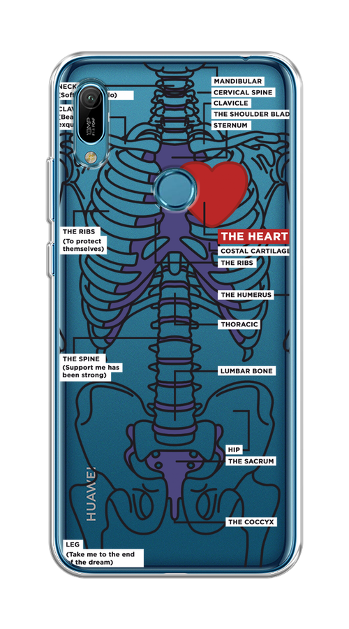 

Чехол на Huawei Y6 2019/Honor 8a/8a Pro/Y6s "Скелет человека", Прозрачный;синий;красный, 611550-1