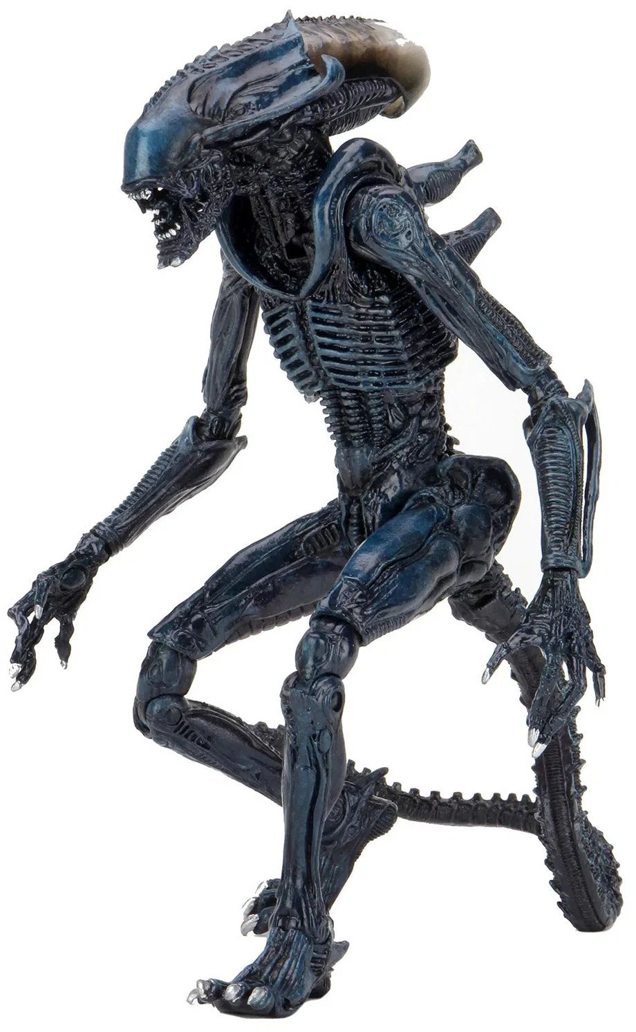

Фигурка Чужой Arachnoid (22 см)