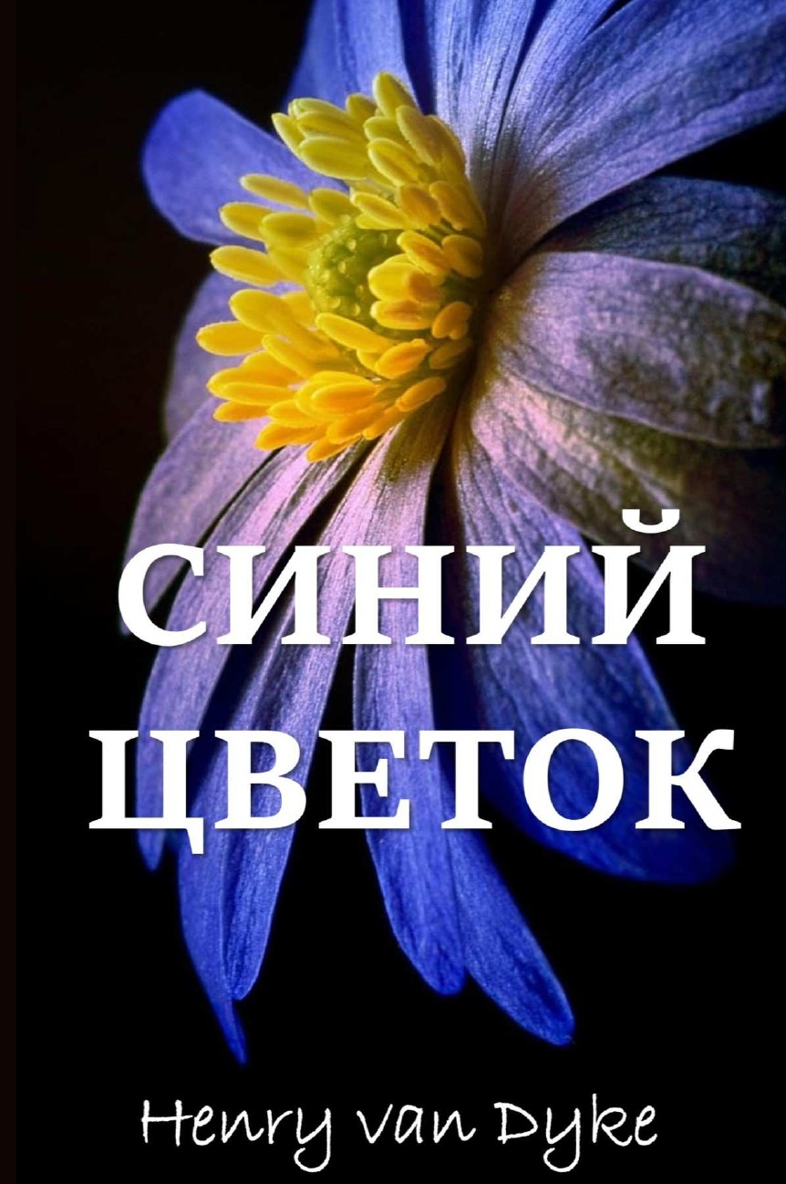 

Книга Голубой Цветок; The Blue Flower (Russian edition)