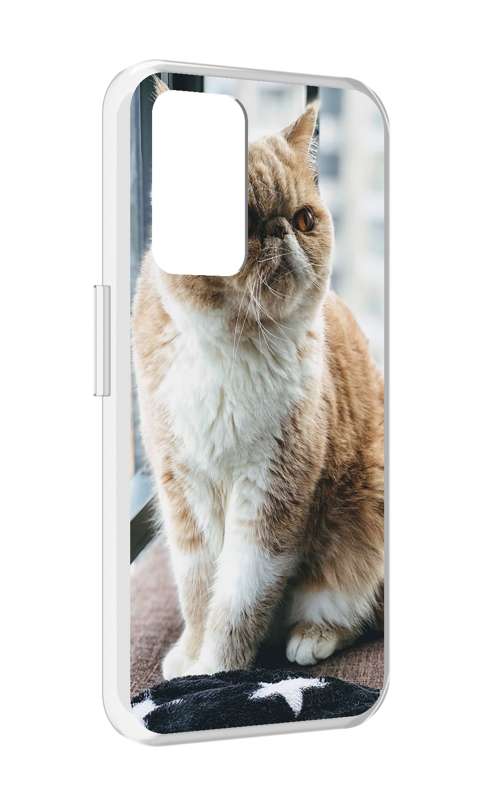 Чехол MyPads кошка экзот для Realme GT Neo3T