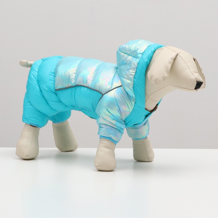 

Комбинезон Эфир, размер  (ДС 28, ОГ 38, ОШ 27 см), голубой