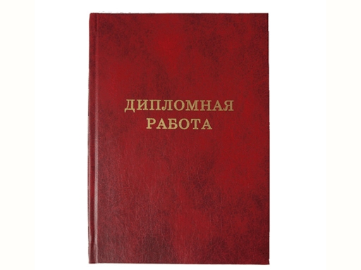 

Папка "Дипломная работа" без бумаги ПАП001, Красный