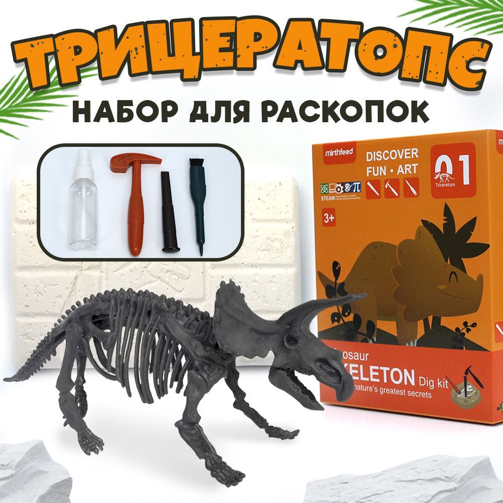 

Исторические раскопки Трицератопс
