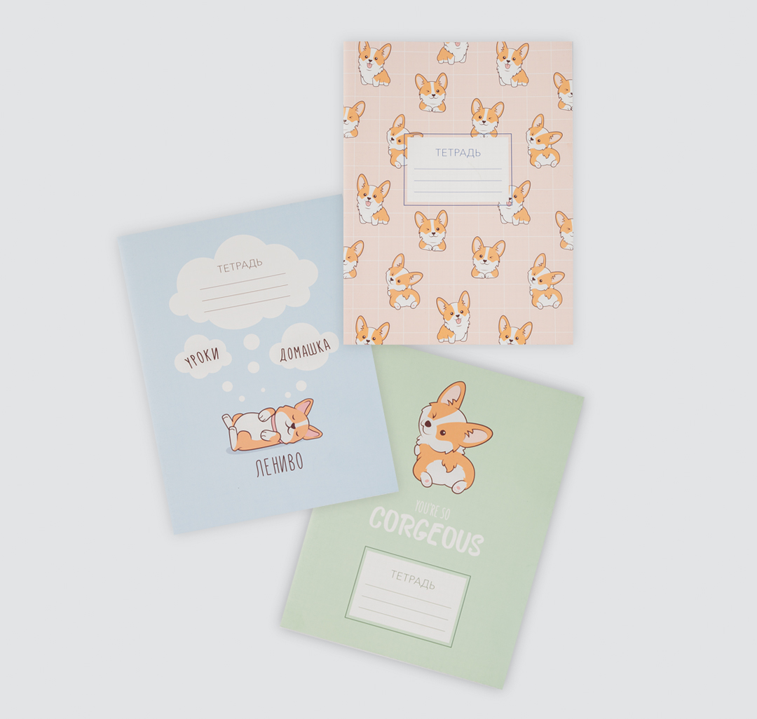 

Комплект тетрадей (3 шт)