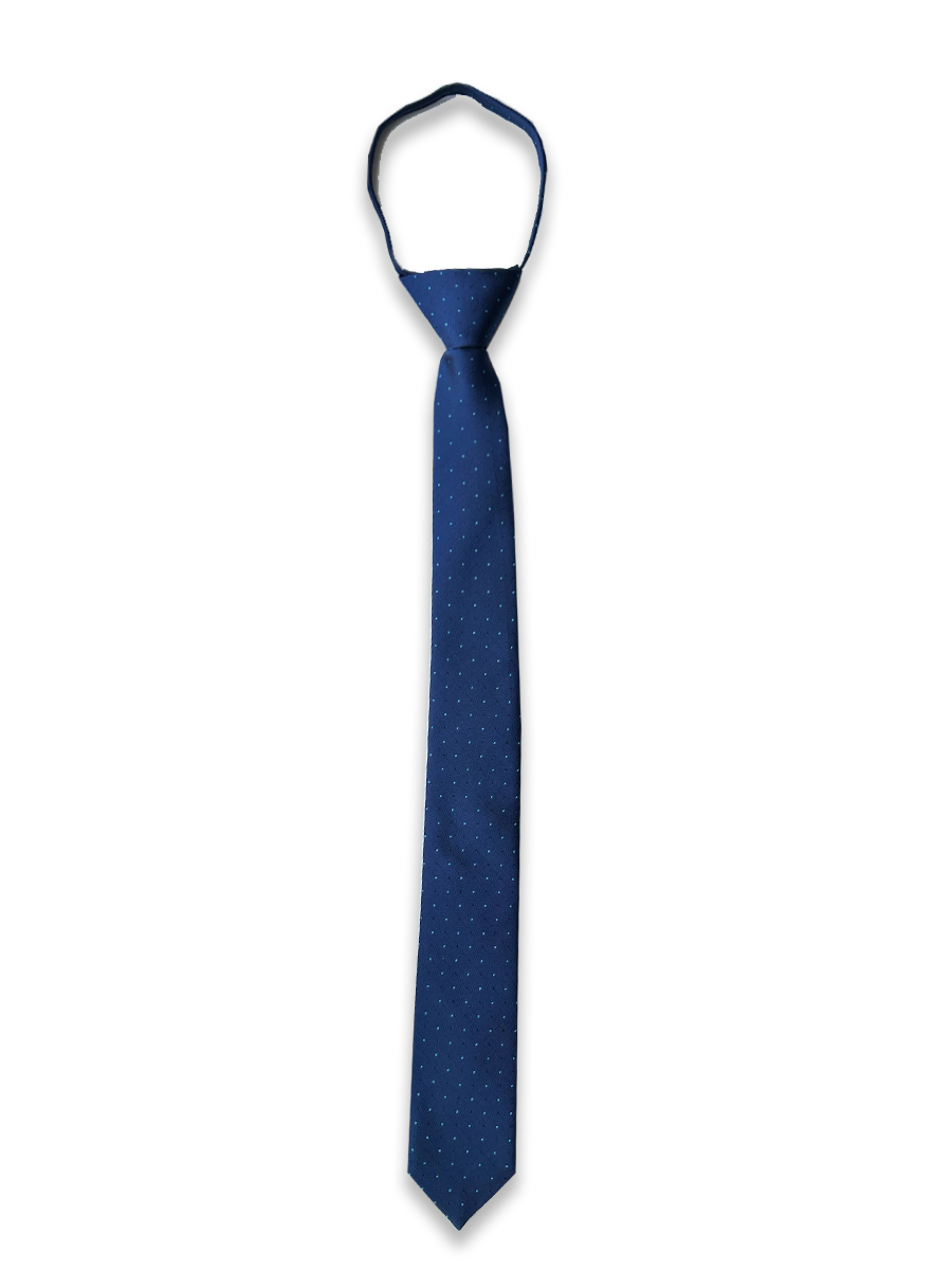 

Галстук мужской Sichuan Fflourish Silk Co., Ltd. 47 sl/204, Синий, 47 sl/204