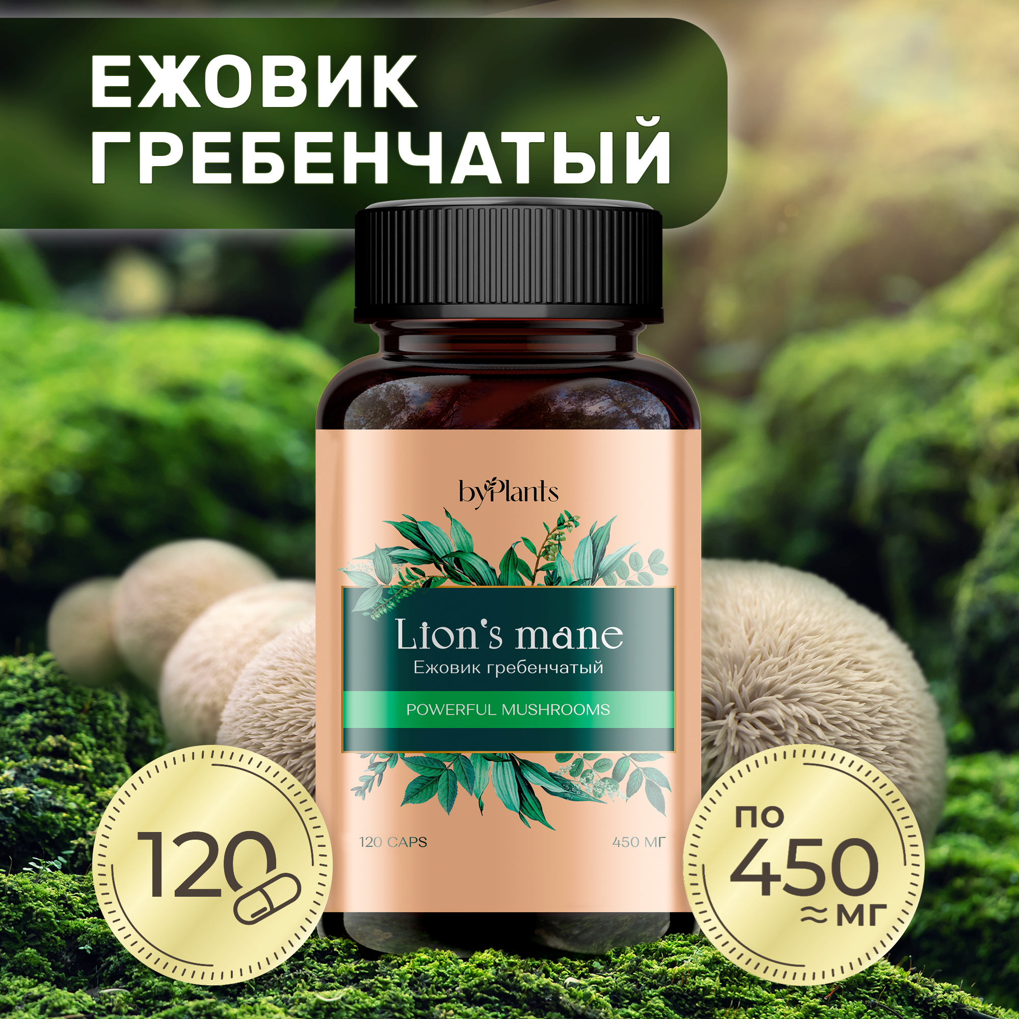 

Ежовик Гребенчатый ByPlants, капсулы 120 шт, 120 капсул