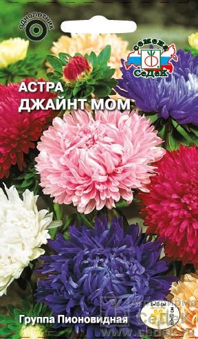 

Семена астра Джайнт мом 1667 1 уп.