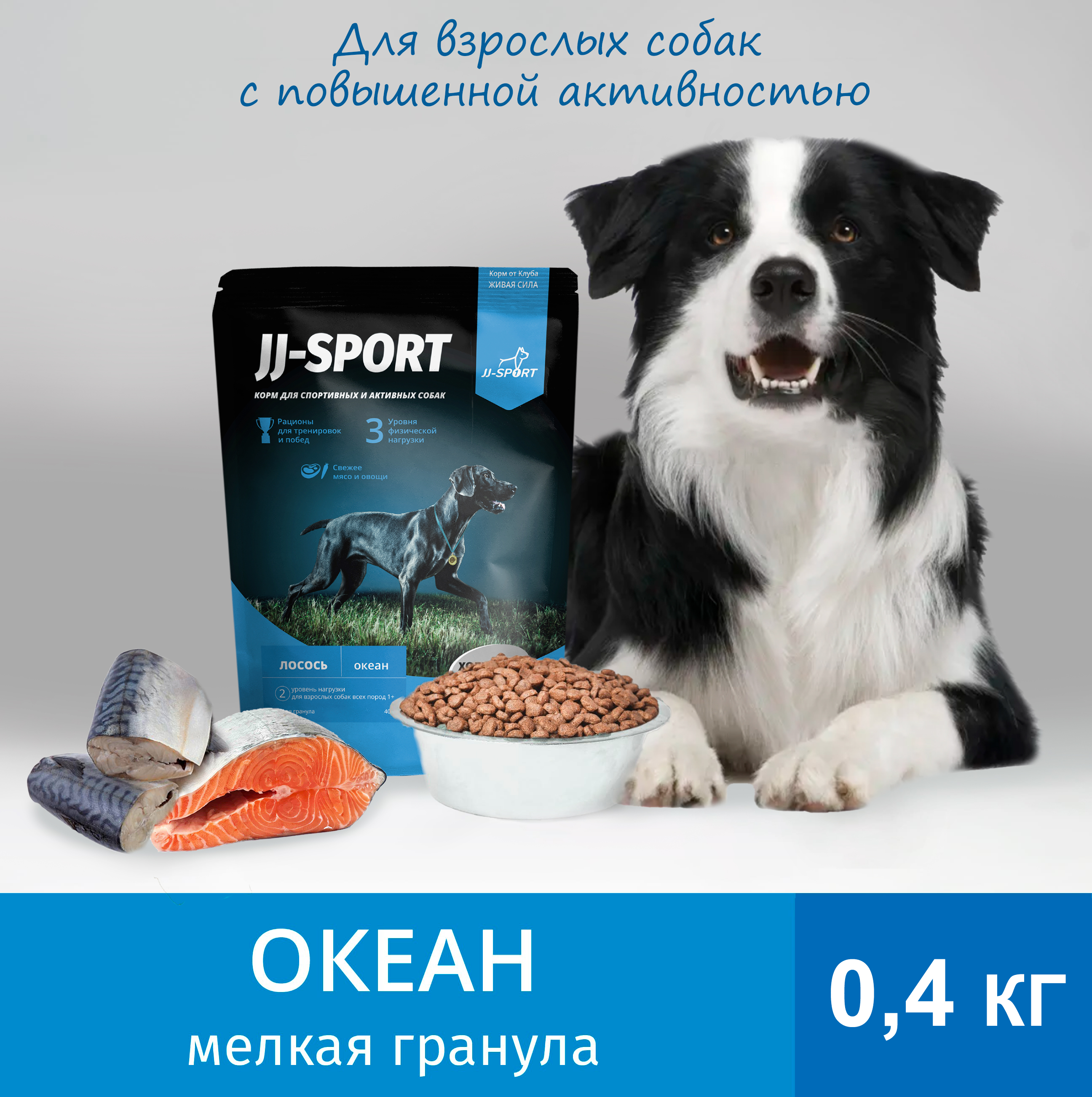Сухой корм для собак JJ-SPORT Океан Живая Сила, мелкая гранула, с лососем, 0,4 кг
