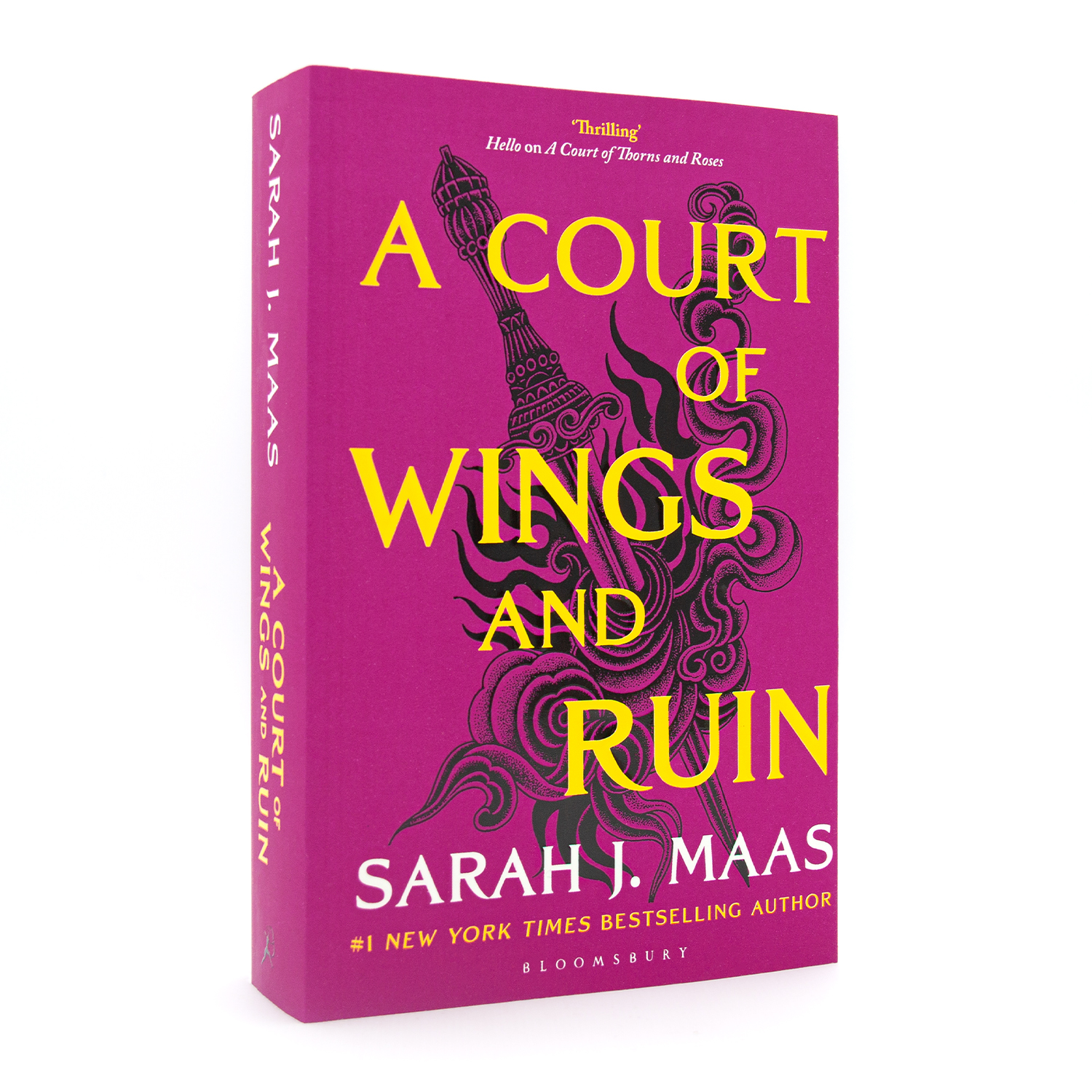 

A Court of Wings and Ruin : The #1 bestselling series