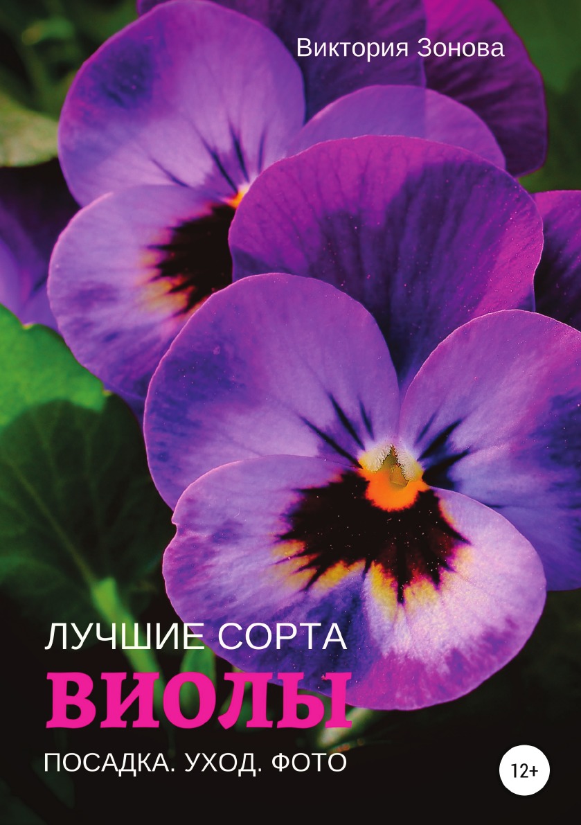 

Виолы. Лучшие сорта