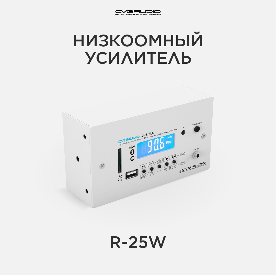 

Усилитель мощности CVGaudio R-25W, R-25W