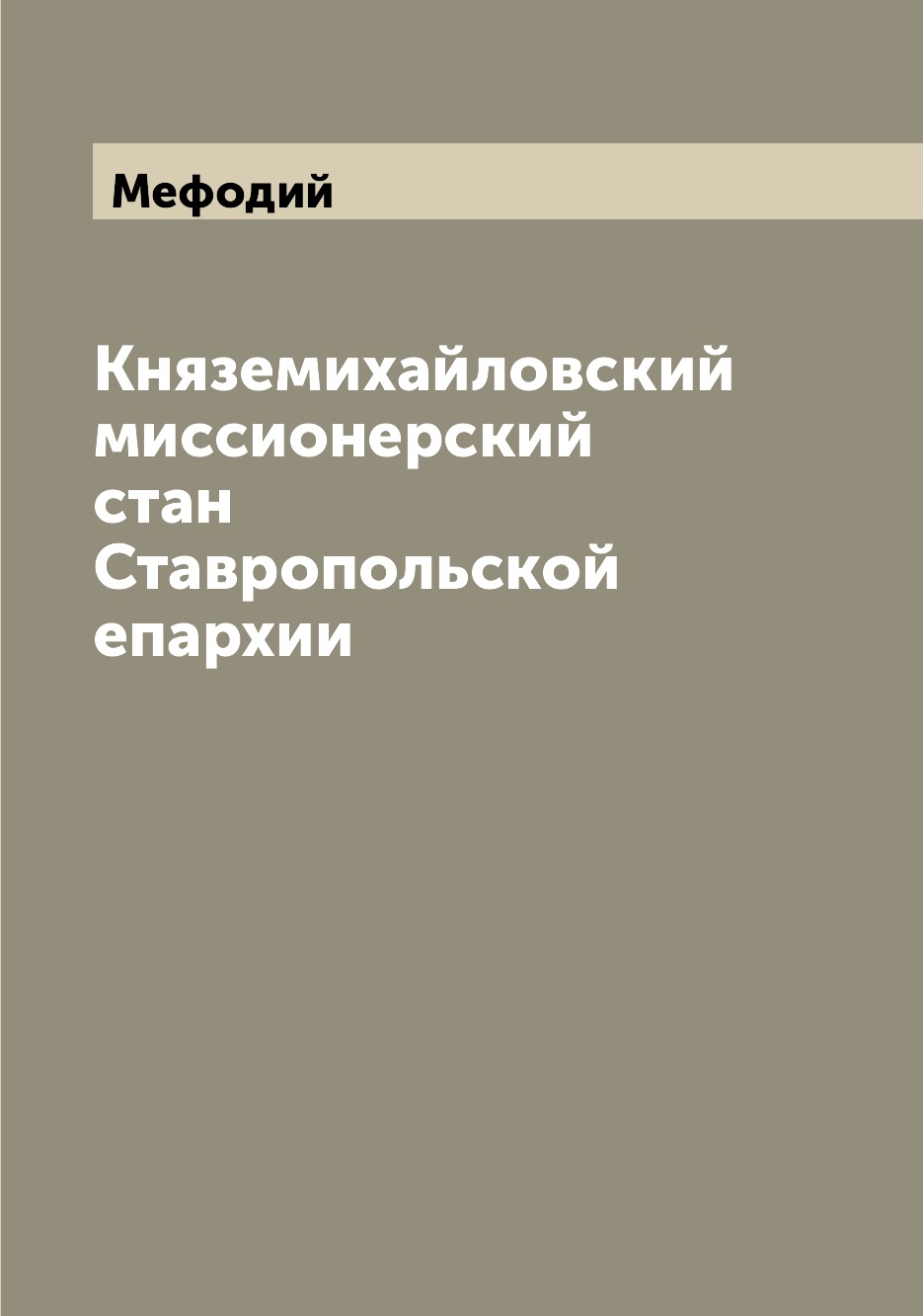 

Книга Княземихайловский миссионерский стан Ставропольской епархии