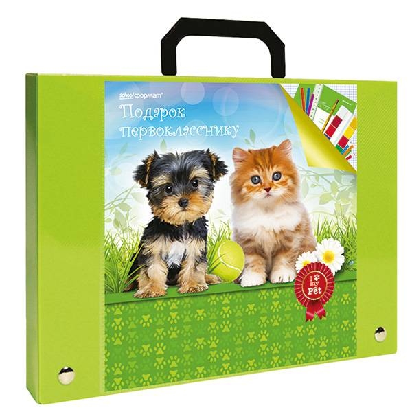 

Портфель пластиковый "Подарок первокласснику", цвет зеленый
