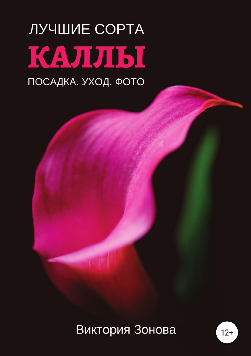 

Каллы. Лучшие сорта