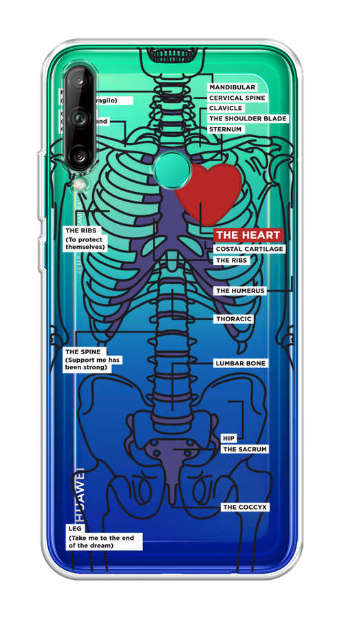 

Чехол на Honor 9C, Huawei P40 Lite E/Y7p "Скелет человека", Прозрачный;синий;красный, 6103350-1