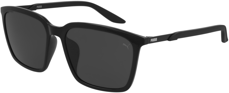 

Солнцезащитные очки PUMA PE0160SA 001 black/smoke, PE0160SA 001