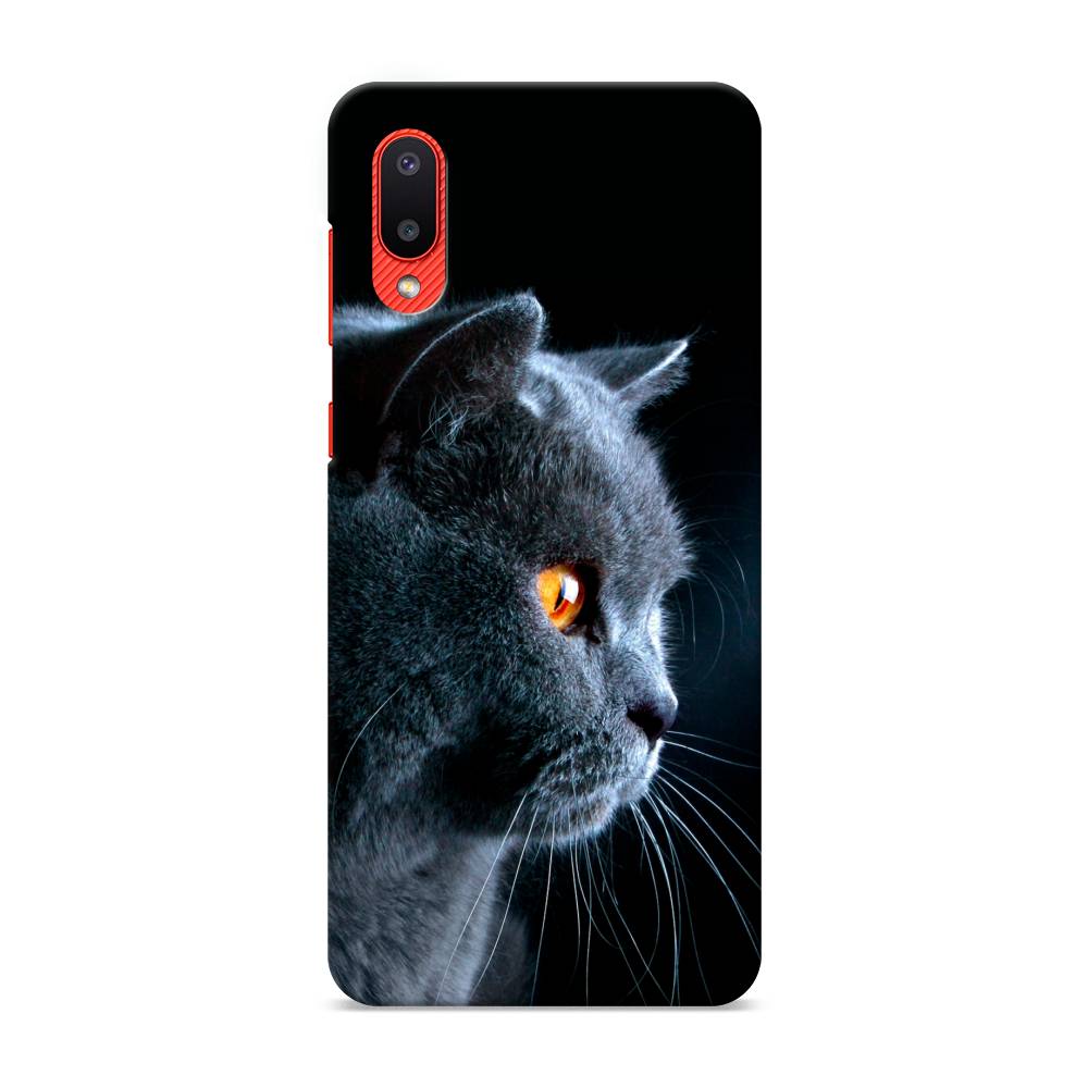 

Пластиковый чехол "Благородный кот британец" на Samsung Galaxy A02, 2102520-1