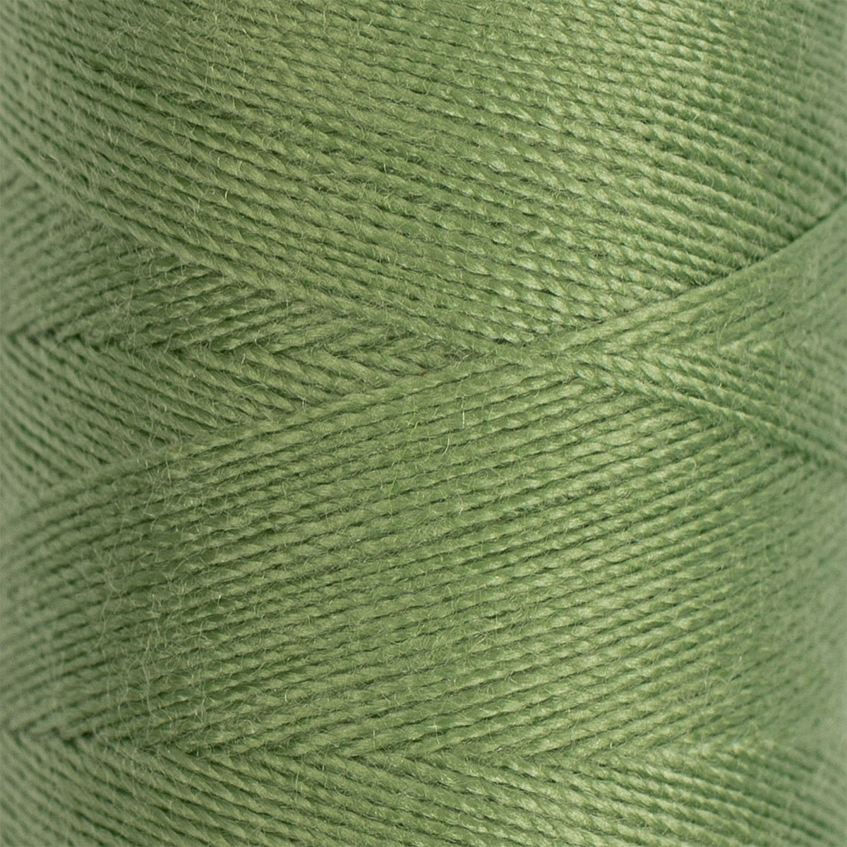 

Нитки Nitka (полиэстер), (201-300), 4570 м, №206 серо-зеленый, (полиэстер), (201-300), 4570 м, №206 серо-зеленый