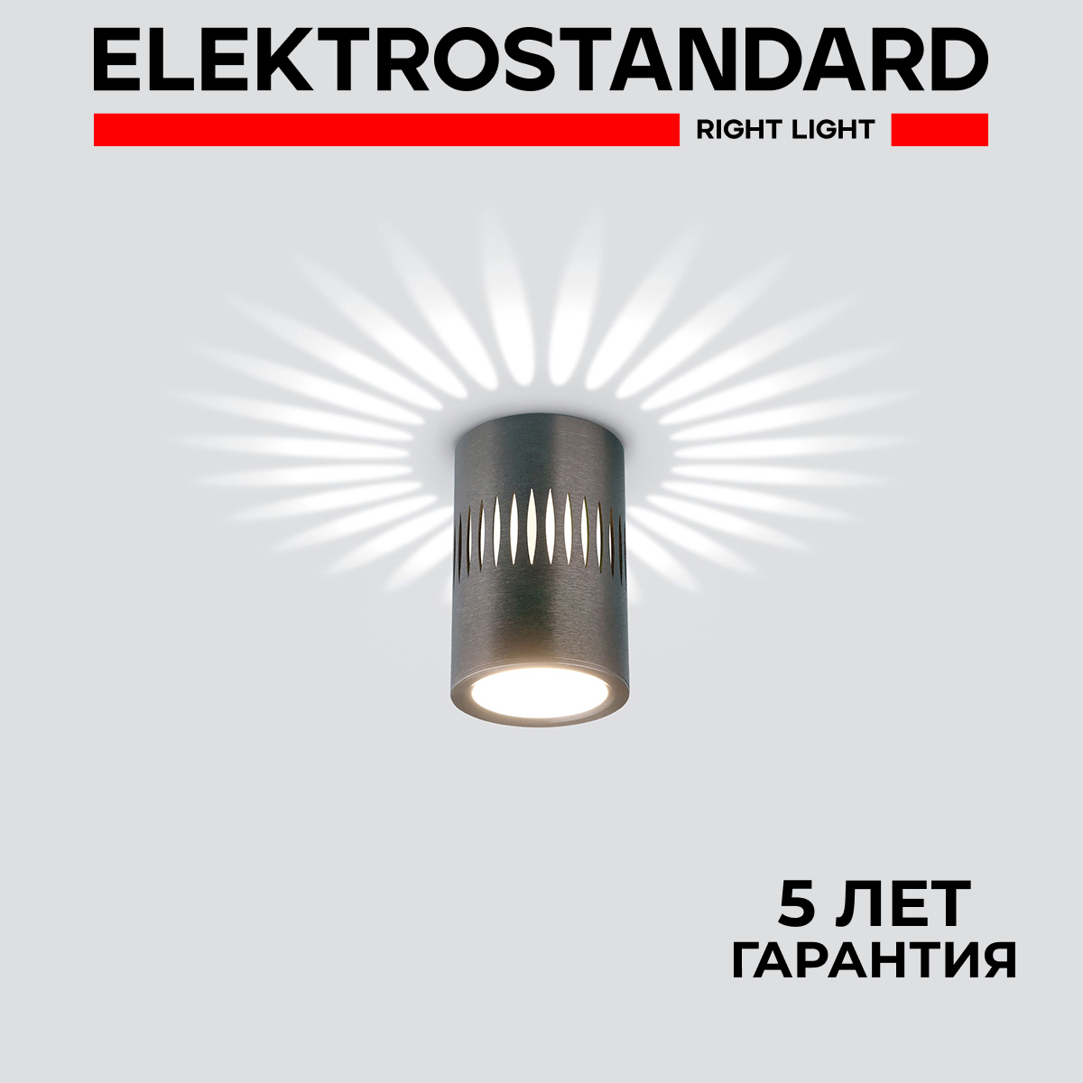 Накладной светодиодный светильник с подсветкой Elektrostandard DLS026 7W 4200К графит