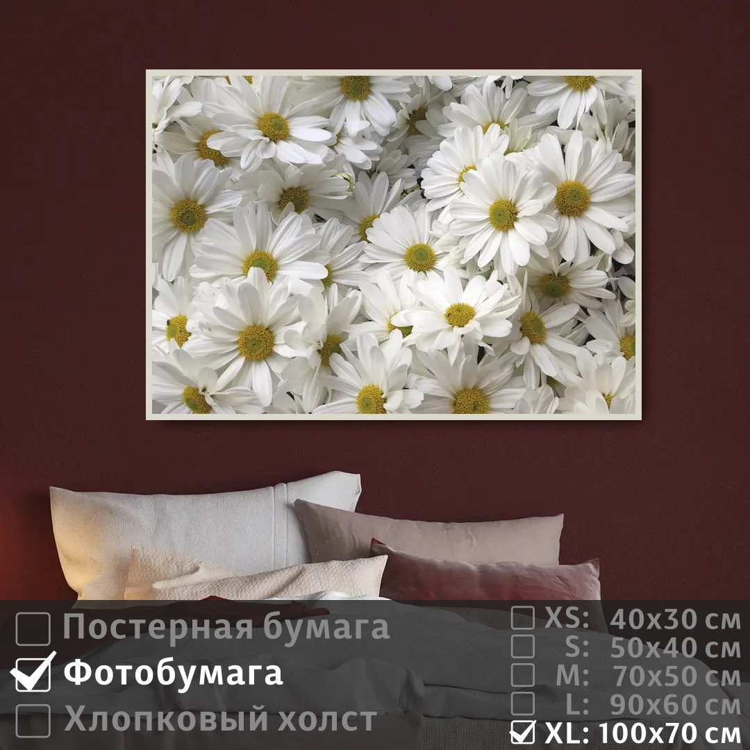 

Постер на фотобумаге ПолиЦентр Белые цветы ромашки 100х70 см, БелыеЦветыРомашки1