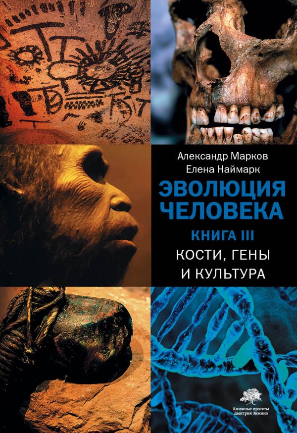 фото Эволюция человека. [в 3 кн.] книга 3. кости, гены и культура corpus