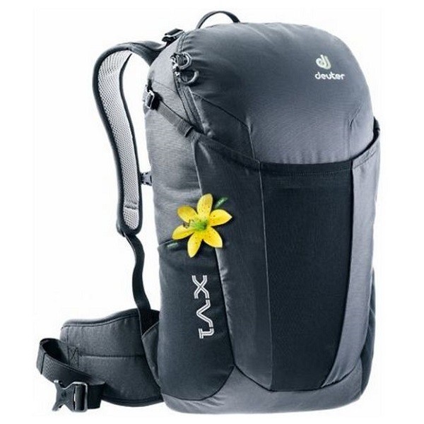 фото Рюкзак треккинговый deuter xv 1 sl 17 л black