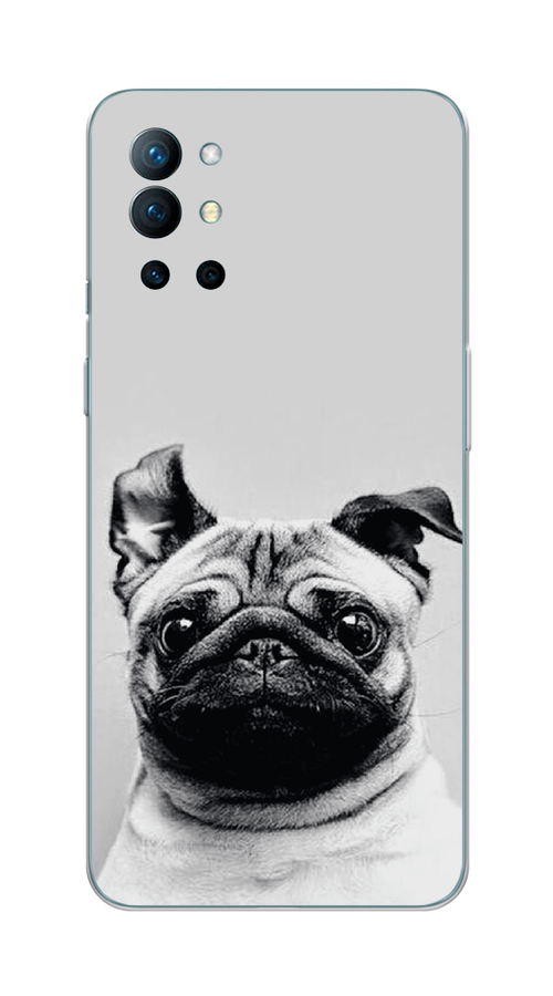 

Чехол Awog на OnePlus 9R / ВанПлас 9R "Ушастый мопс", Серый, 151650-1