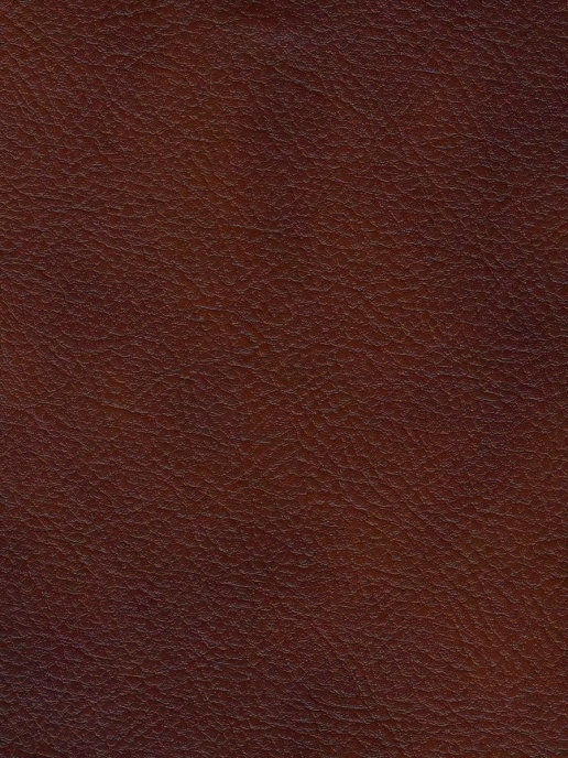 

Искусственная кожа САЛЕКС 200см, COSTAGNA
