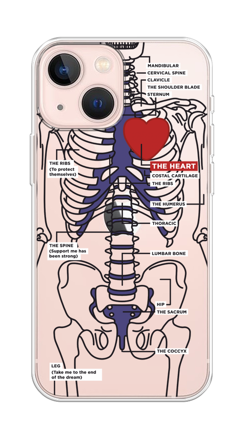 

Чехол на Apple iPhone 13 mini "Скелет человека", Прозрачный;синий;красный, 14150-1