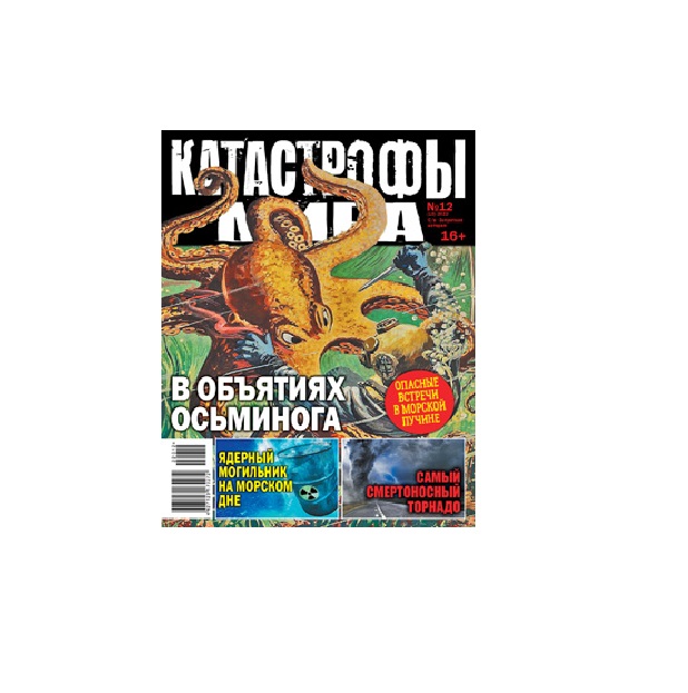 

Журнал Издательский дом Анкор Катастрофы мира в ассортименте