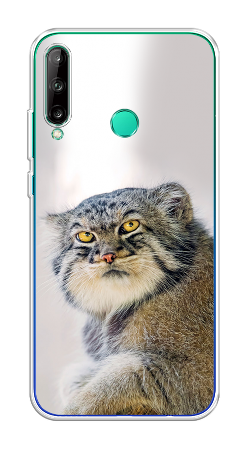 

Чехол на Honor 9C/Huawei P40 Lite E/Y7p "Кот манул 1", Серый;белый;желтый, 6103350-1