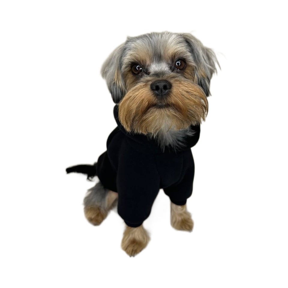 Толстовка для собак SPLOOT, унисекс, с наклейкой, черная, футер, XS, длина спины 25 см