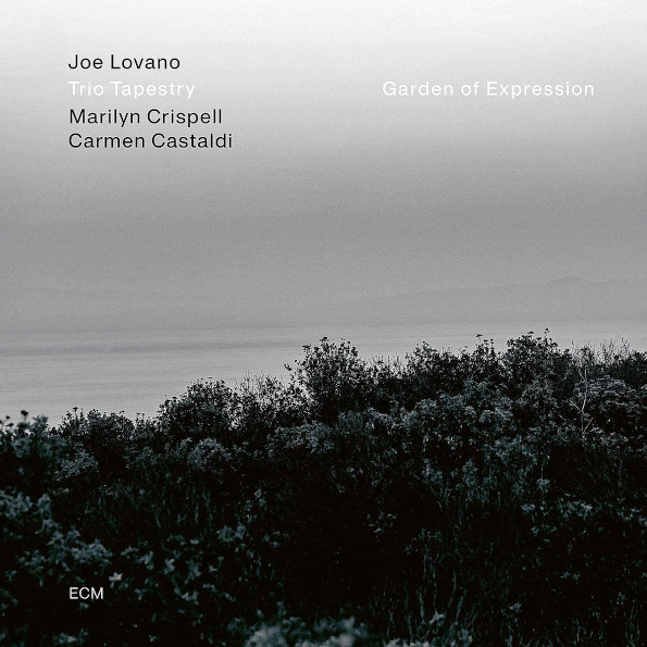 Joe Lovano, Trio Tapestry / Garden Of Expression (LP)