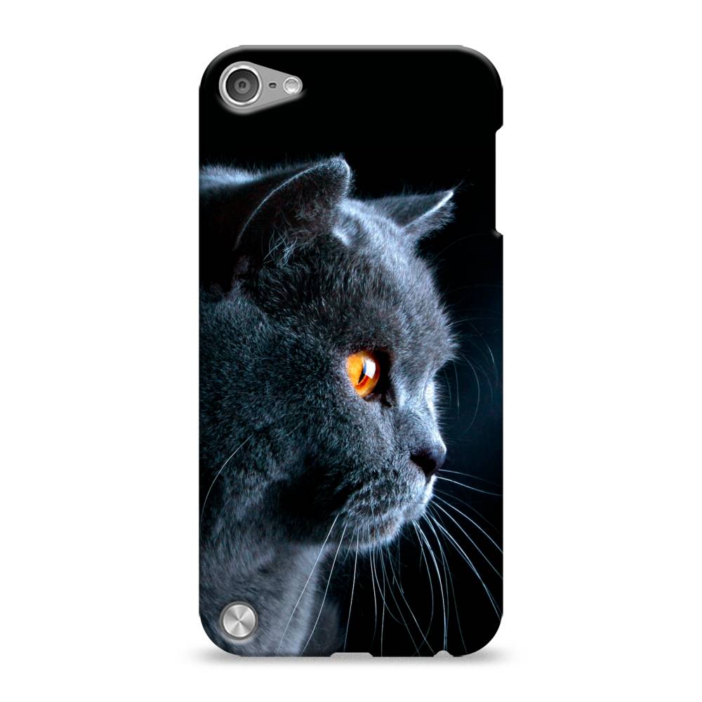 

Пластиковый чехол "Благородный кот британец" на Apple iPod Touch, 11120-1