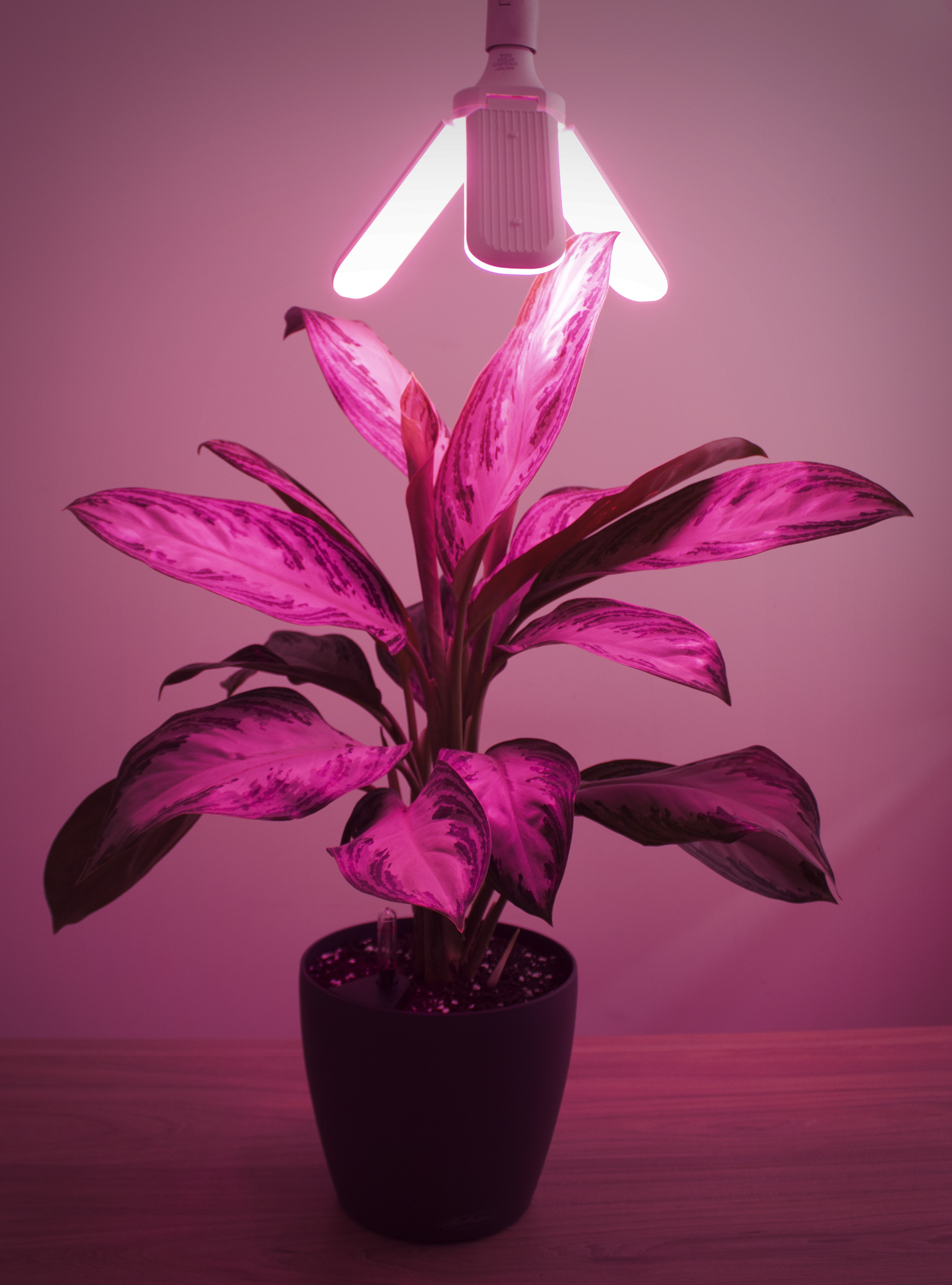 Фитолампа LED Фарлайт, светодиодная, IR фиолетовый свет E27, 14 Вт