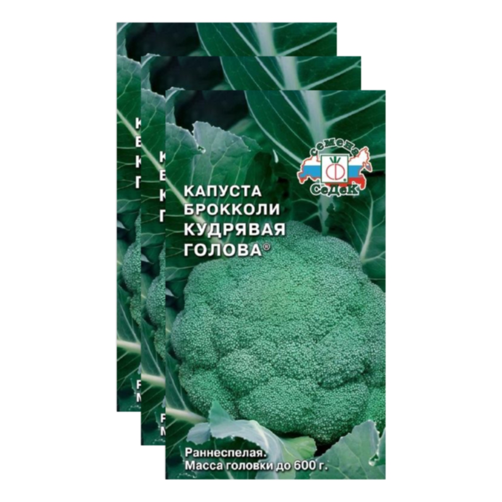 

Семена капуста Кудрявая голова СеДеК 23-03876