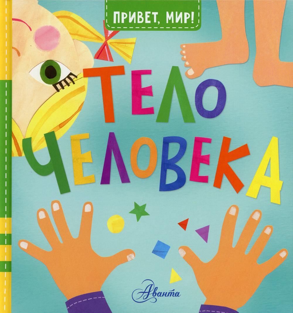 

Тело человека