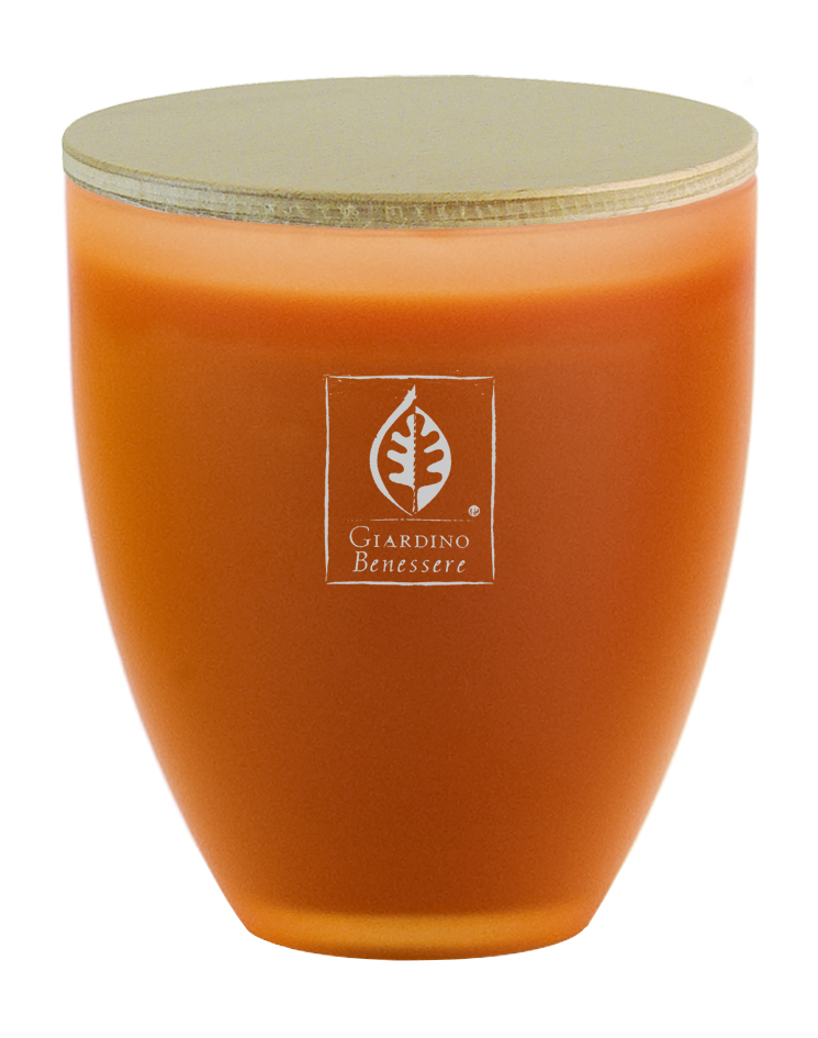 Парфюмированная свеча Giardino Benessere Amber Candle