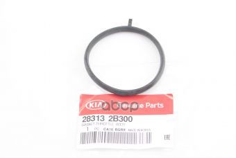 

HYUNDAI-KIA 283132B300 ПРОКЛАДКА 1шт