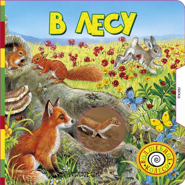 

В лесу
